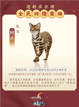豪侠天龙八部私服